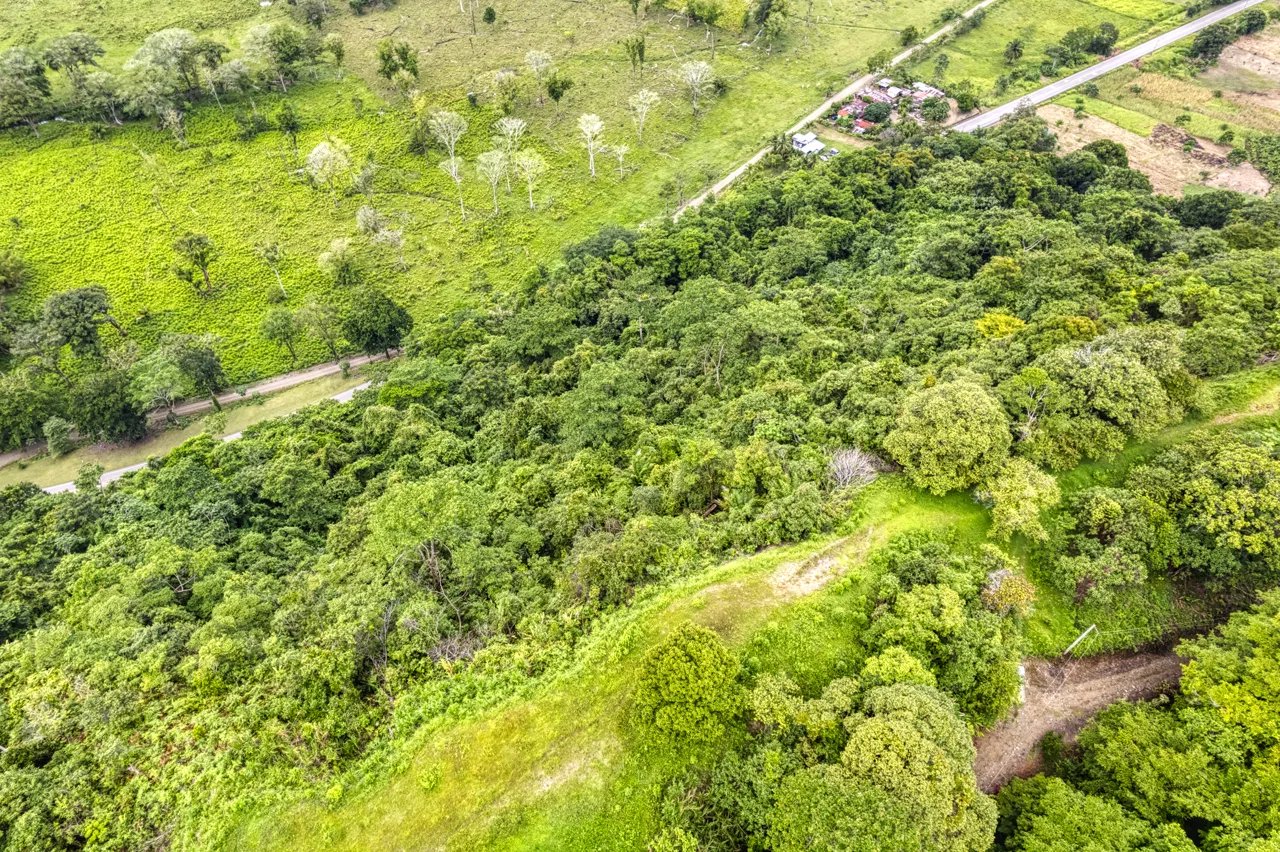 Coronado Estates Lot 5, photo 6