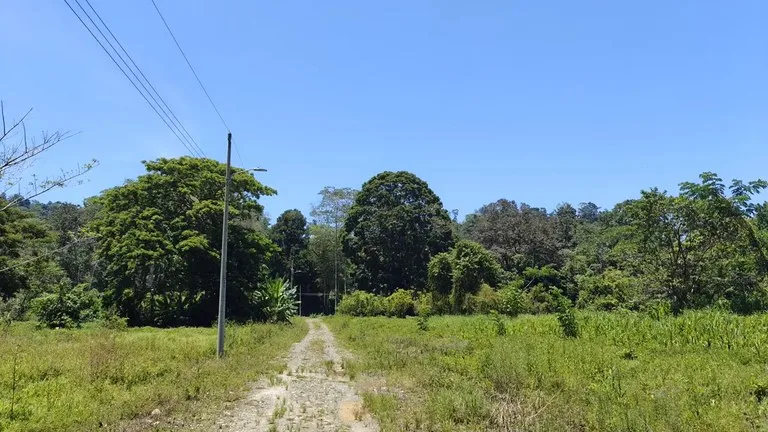 ID 924: El Cortijo: El Cortijo - Residential Lots for Sale in Hone Creek Near Puerto Viejo, photo 2