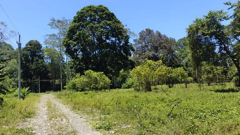ID 924: El Cortijo: El Cortijo - Residential Lots for Sale in Hone Creek Near Puerto Viejo, photo 4