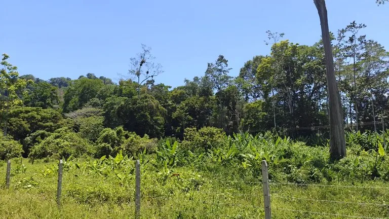 ID 924: El Cortijo: El Cortijo - Residential Lots for Sale in Hone Creek Near Puerto Viejo, photo 7