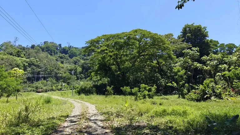 ID 924: El Cortijo: El Cortijo - Residential Lots for Sale in Hone Creek Near Puerto Viejo, photo 9