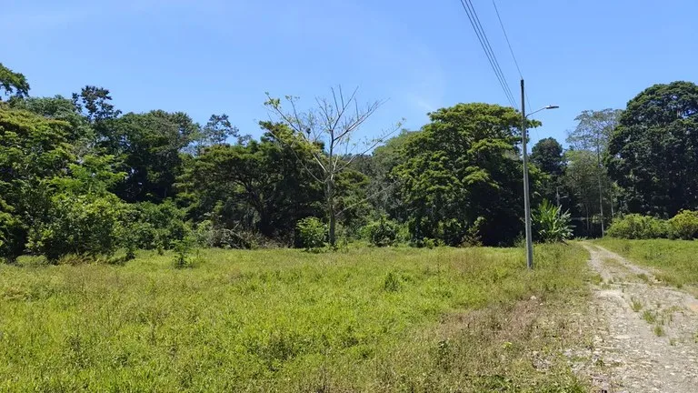 ID 924: El Cortijo: El Cortijo - Residential Lots for Sale in Hone Creek Near Puerto Viejo, photo 10