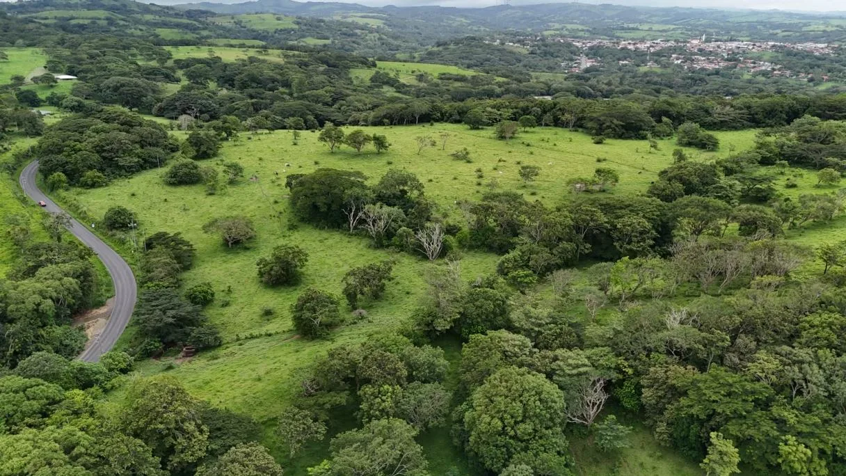 185.93-HECTARE INVESTMENT PROPERTY IN TILARÁN, GUANACASTE