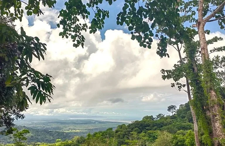 BUILDING PROPERTY WITH PANORAMIC OCEAN VIEWS, IN PUNTA MALA – 0.46 ACRES, photo 25