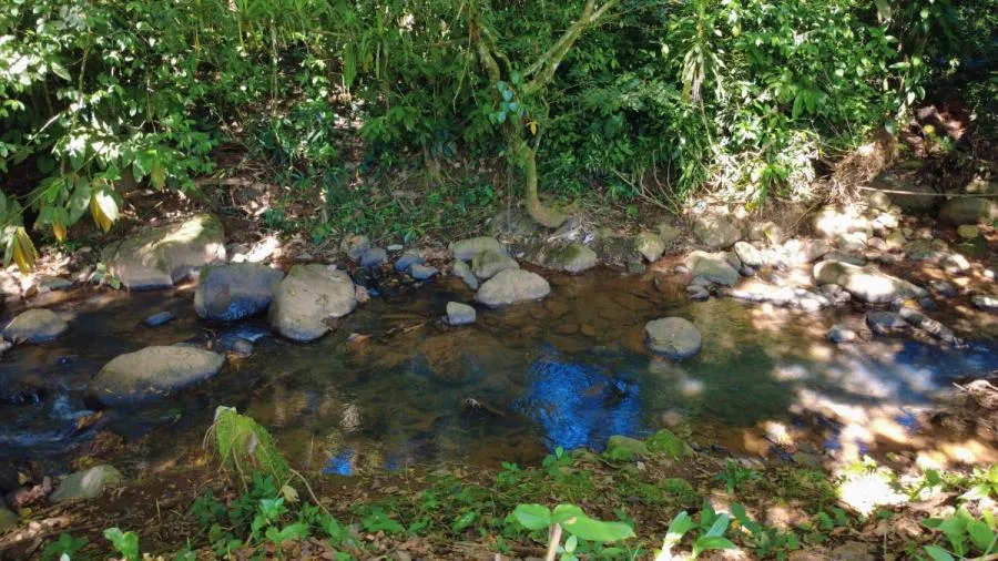 LOTE PLANO EN VENTA EN LAS MERCEDES DE CAJÓN, PÉREZ ZELEDÓN – 3.121 m² CON RÍO - Venta en Perez Zeledón, photo 11