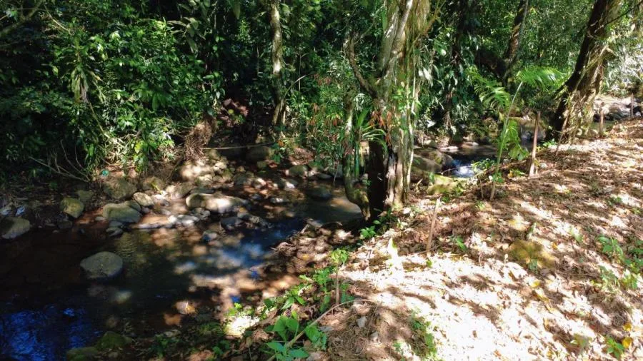 LOTE PLANO EN VENTA EN LAS MERCEDES DE CAJÓN, PÉREZ ZELEDÓN – 3.121 m² CON RÍO - Venta en Perez Zeledón, photo 13