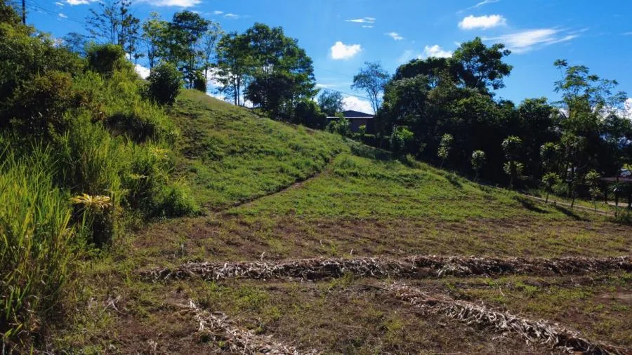 LOTE PLANO EN VENTA EN LAS MERCEDES DE CAJÓN, PÉREZ ZELEDÓN – 3.121 m² CON RÍO - Venta en Perez Zeledón, photo 15