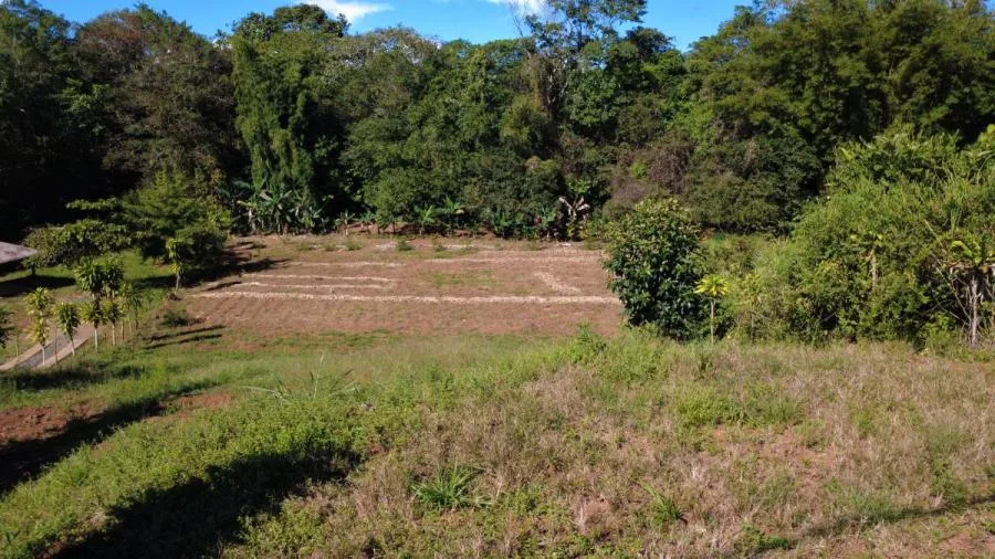 LOTE PLANO EN VENTA EN LAS MERCEDES DE CAJÓN, PÉREZ ZELEDÓN – 3.121 m² CON RÍO - Venta en Perez Zeledón, photo 8