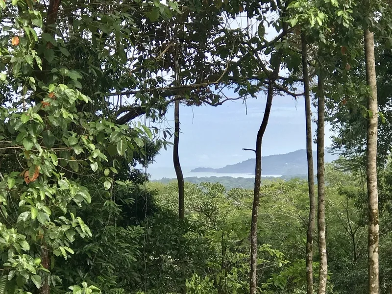 Developments For Sale in Uvita, photo 13