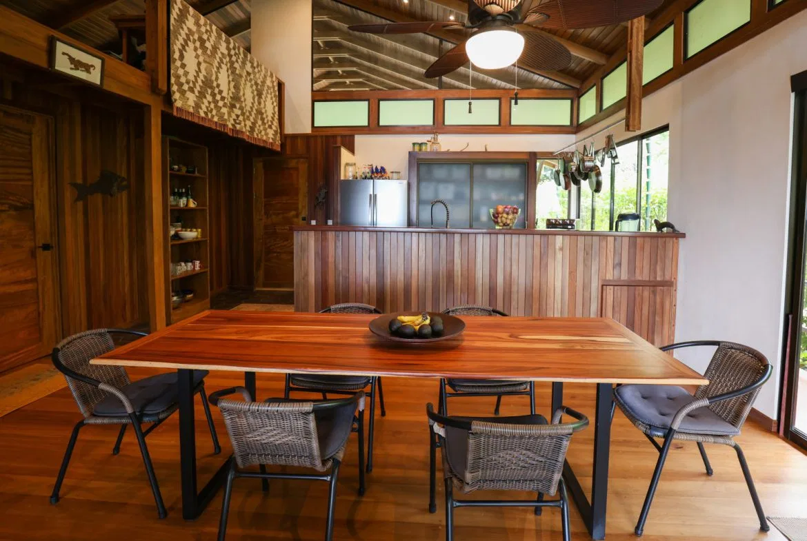 TROPICAL RETREAT IN PLATANILLO – OCEAN VIEW HOME PLUS APARTMENT IN ESTABLISHED COMMUNITY – 0.88 ACRES, photo 8