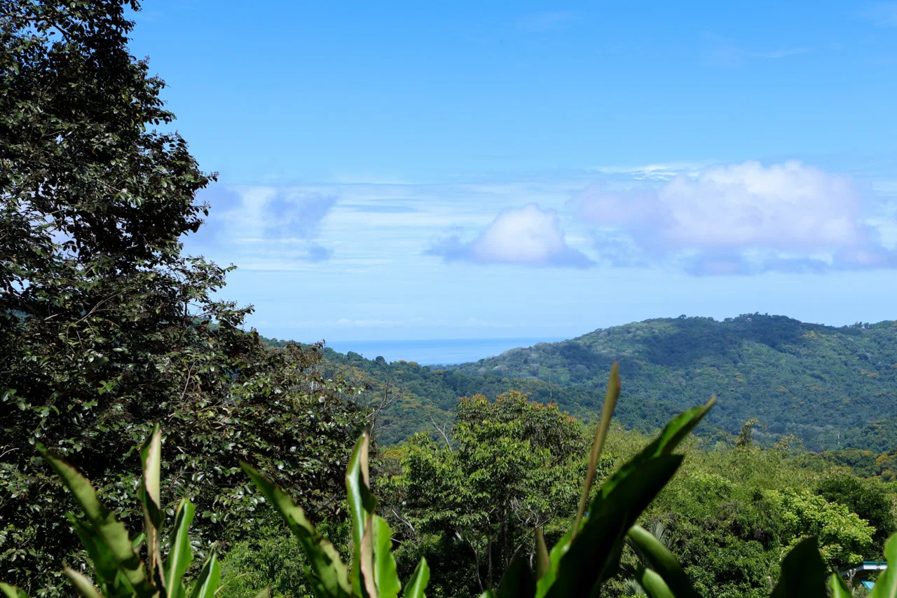 TROPICAL RETREAT IN PLATANILLO – OCEAN VIEW HOME PLUS APARTMENT IN ESTABLISHED COMMUNITY – 0.88 ACRES, photo 9