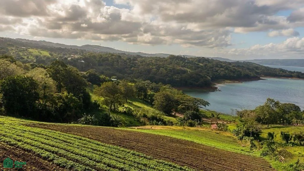 Arenal Tilarn Guanacaste