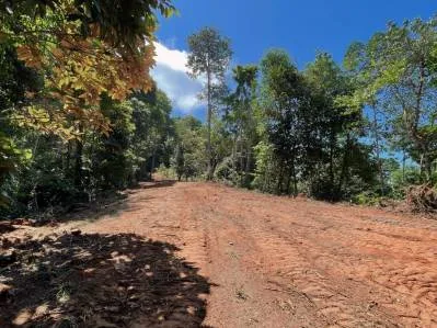 FINCA CERRO DEL TIGRE! OVER 20 ACRES OF PRIMARY FOREST AND WATERFALLS., photo 8