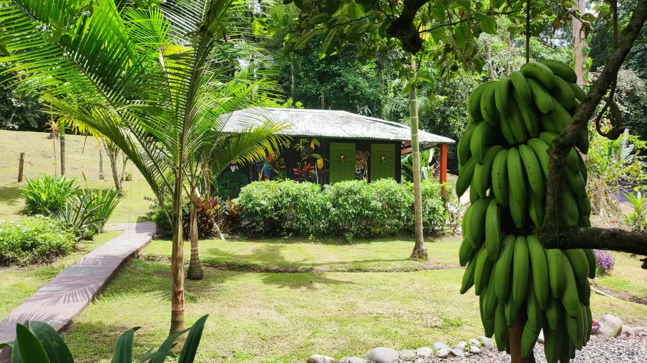 PROPERTY FOR SALE IN COCLES - MARGARITA STREET - CAHUITA - PUERTO VIEJO, photo 3