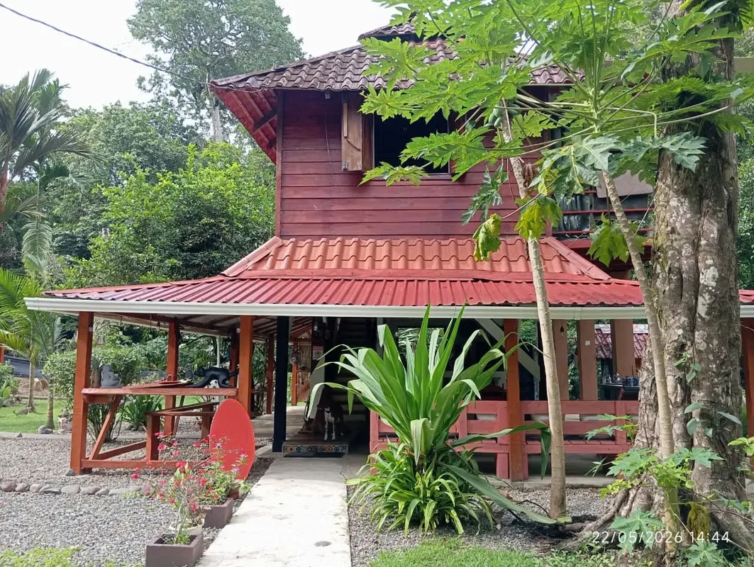 PROPERTY FOR SALE IN COCLES - MARGARITA STREET - CAHUITA - PUERTO VIEJO, photo 4