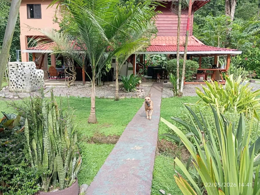 PROPERTY FOR SALE IN COCLES - MARGARITA STREET - CAHUITA - PUERTO VIEJO, photo 6