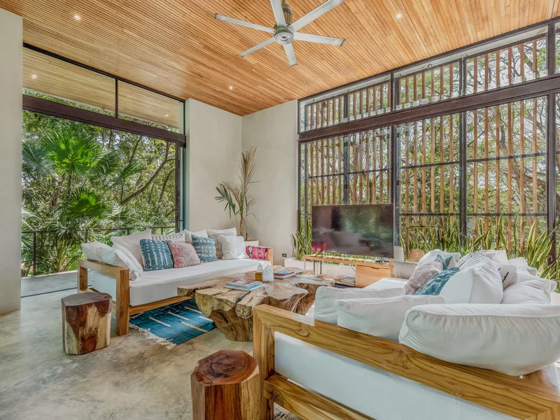 4 Bed Single Family Homes For Sale in Nosara, photo 7
