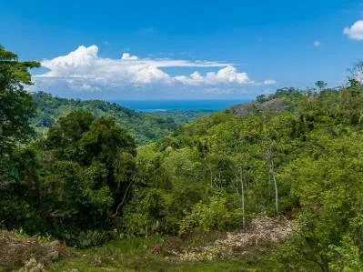 Granja de lujo con cascada y vistas a la cola de ballena, photo 7
