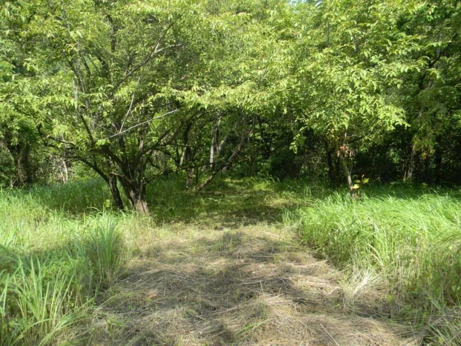 EN VENTA-PARAÍSO DE 205.799M²A LA ORILLA DEL RÍO, COSTA RICA - Venta en Perez Zeledón, photo 6