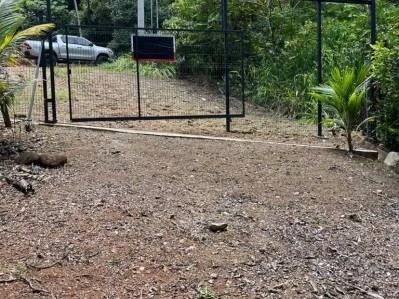 Terreno llave en mano con entorno selvático en el centro de Uvita