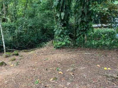 Terreno llave en mano con entorno selvático en el centro de Uvita, photo 2