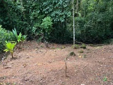 Terreno llave en mano con entorno selvático en el centro de Uvita, photo 3