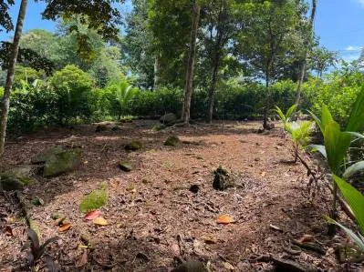 Terreno llave en mano con entorno selvático en el centro de Uvita, photo 4