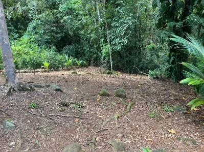 Terreno llave en mano con entorno selvático en el centro de Uvita, photo 5