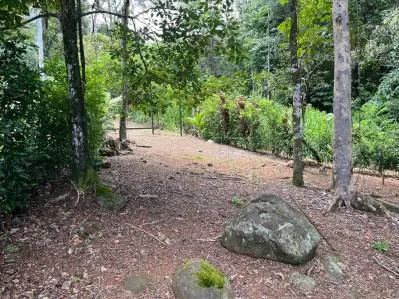 Terreno llave en mano con entorno selvático en el centro de Uvita, photo 6