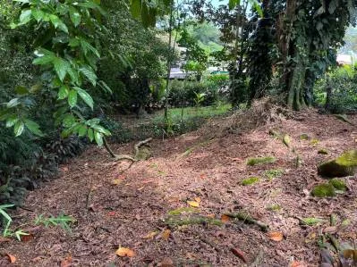 Terreno llave en mano con entorno selvático en el centro de Uvita, photo 7