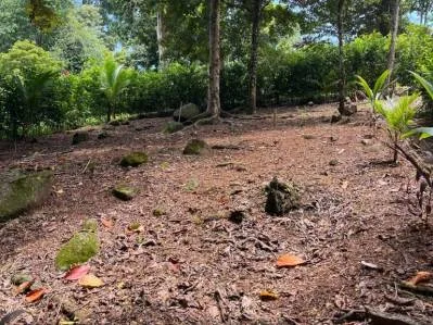 Terreno llave en mano con entorno selvático en el centro de Uvita, photo 8