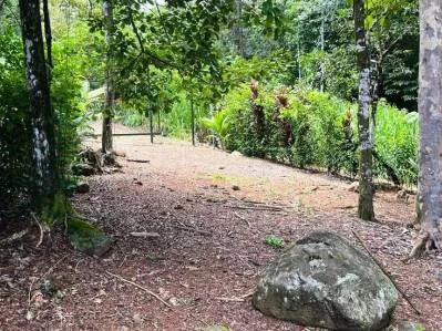 Terreno llave en mano con entorno selvático en el centro de Uvita, photo 9