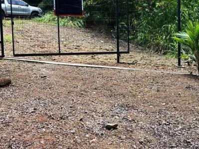 Terreno llave en mano con entorno selvático en el centro de Uvita, photo 10