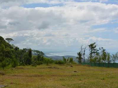 FINCA ALEZAN, photo 2