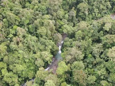 FINCA ALEZAN, photo 4