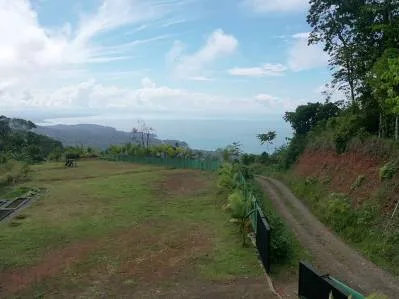 FINCA ALEZAN, photo 5