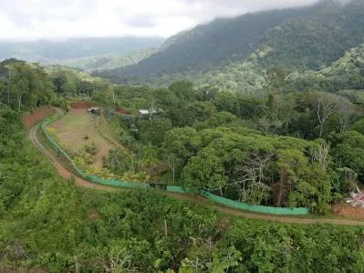 FINCA ALEZAN, photo 6
