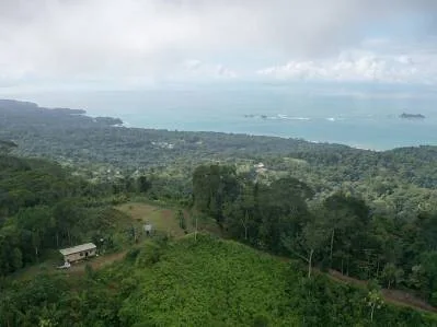 FINCA ALEZAN, photo 7