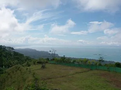 FINCA ALEZAN, photo 9