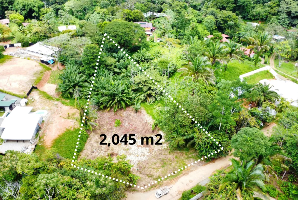 INVESTMENT OPPORTUNITY: LOT FOR SALE IN JARDINES DE MORETE, UVITA – 0.5 ACRES, photo 2