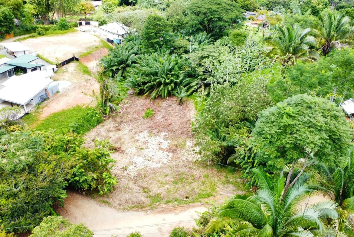 INVESTMENT OPPORTUNITY: LOT FOR SALE IN JARDINES DE MORETE, UVITA – 0.5 ACRES, photo 12