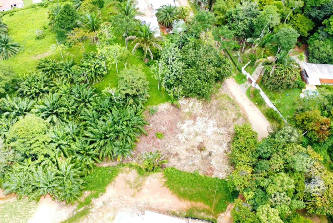 INVESTMENT OPPORTUNITY: LOT FOR SALE IN JARDINES DE MORETE, UVITA – 0.5 ACRES, photo 18