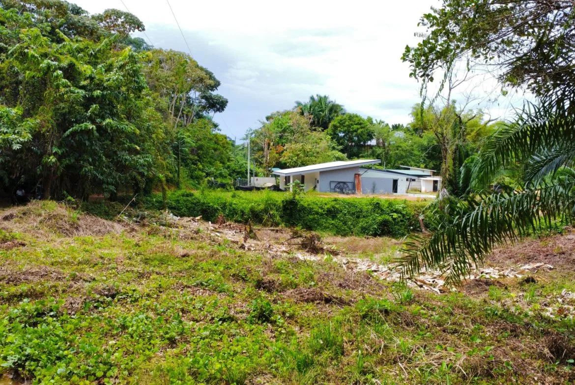 INVESTMENT OPPORTUNITY: LOT FOR SALE IN JARDINES DE MORETE, UVITA – 0.5 ACRES, photo 24