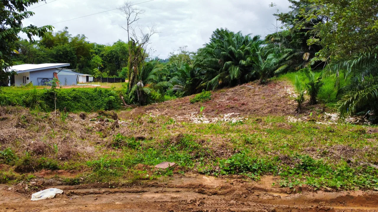 INVESTMENT OPPORTUNITY: LOT FOR SALE IN JARDINES DE MORETE, UVITA – 0.5 ACRES, photo 5
