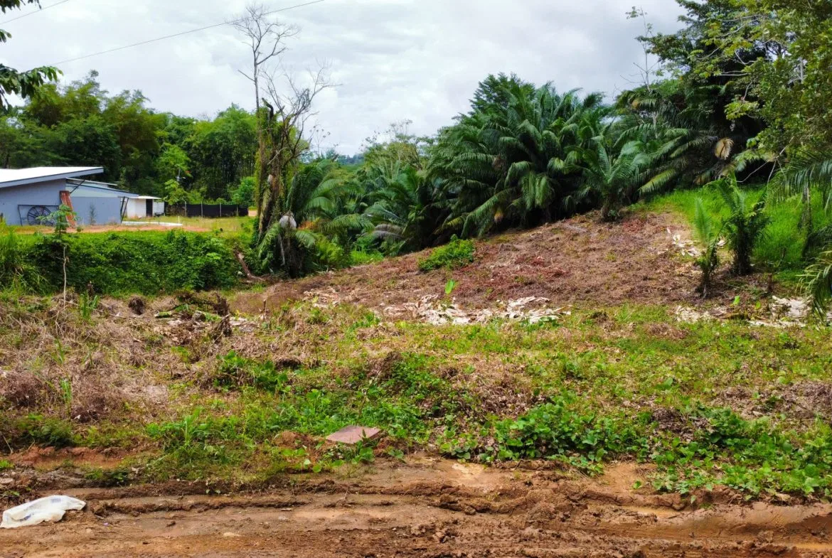 INVESTMENT OPPORTUNITY: LOT FOR SALE IN JARDINES DE MORETE, UVITA – 0.5 ACRES, photo 6