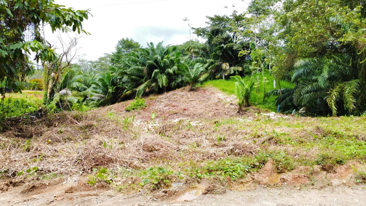 INVESTMENT OPPORTUNITY: LOT FOR SALE IN JARDINES DE MORETE, UVITA – 0.5 ACRES, photo 7