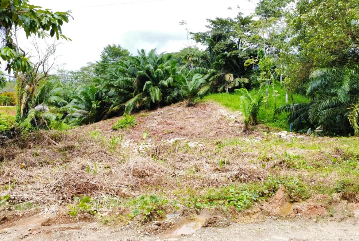 INVESTMENT OPPORTUNITY: LOT FOR SALE IN JARDINES DE MORETE, UVITA – 0.5 ACRES, photo 8