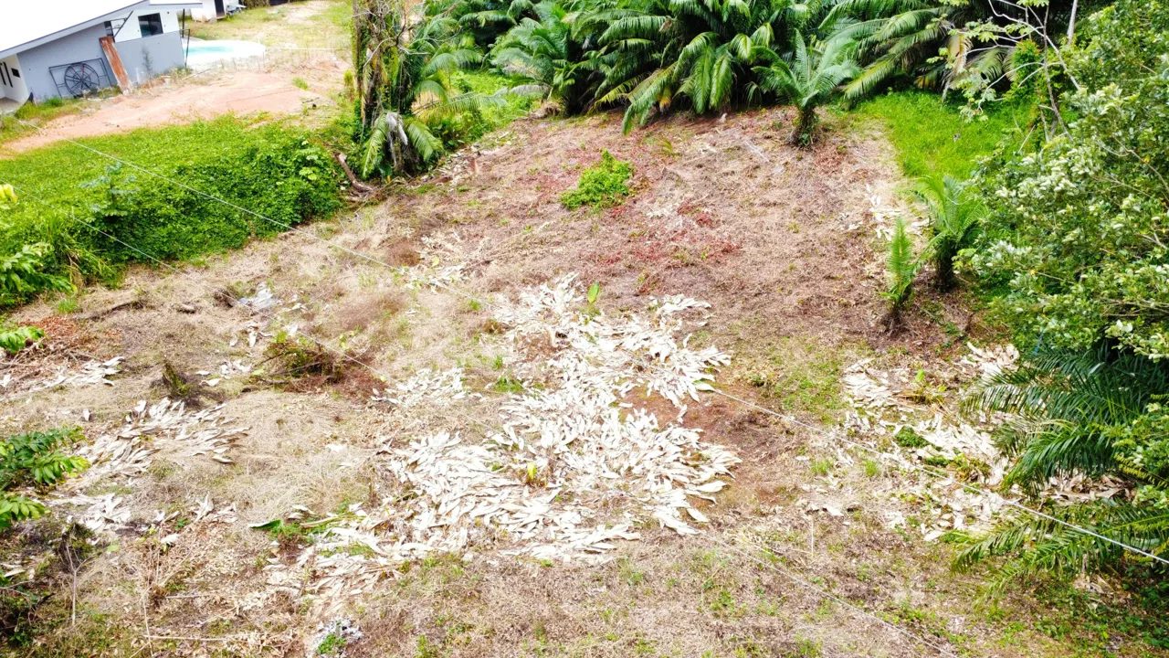 INVESTMENT OPPORTUNITY: LOT FOR SALE IN JARDINES DE MORETE, UVITA – 0.5 ACRES, photo 9