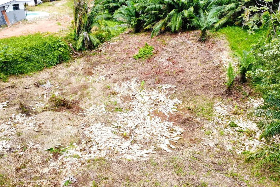 INVESTMENT OPPORTUNITY: LOT FOR SALE IN JARDINES DE MORETE, UVITA – 0.5 ACRES, photo 10