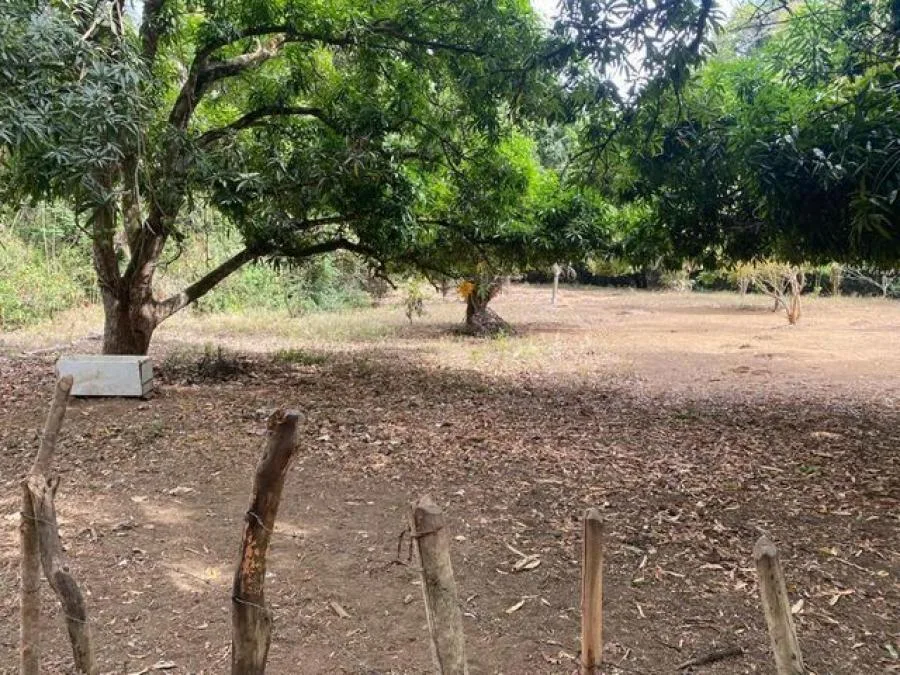 MLS-25-1246 LS VENTA LOTE SANTA ANA SAN JOSE - Venta en Santa Ana, photo 11